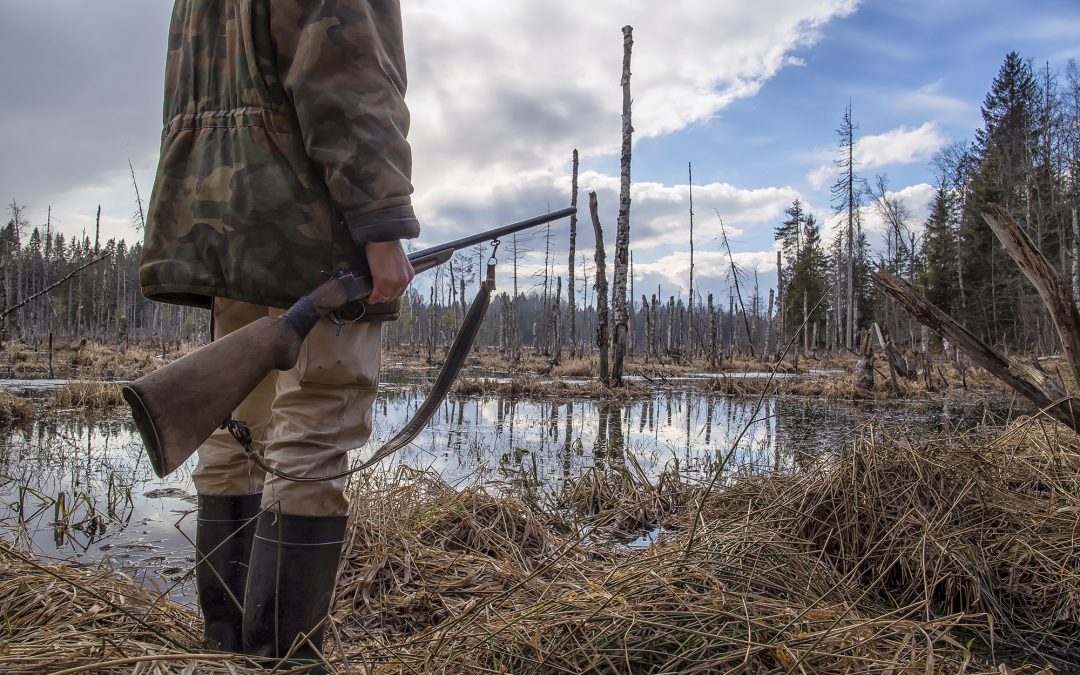 Hunting Safeguards Wildlife Through Conservation