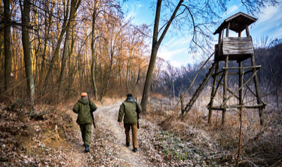 Whitetail Deer Aging can Increase Hunting Property Value
